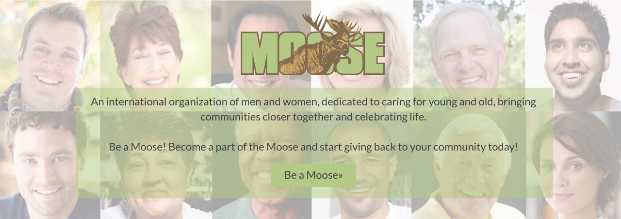 moosemockup8-mainslide
